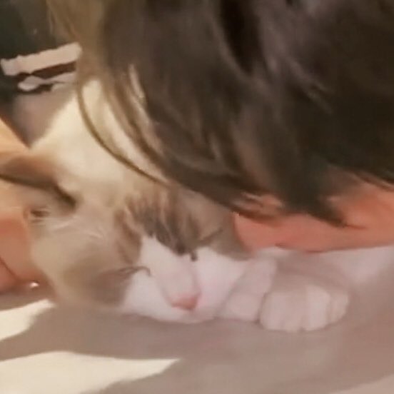 วอฟอ ✿ 𓈒ft. 🐱♡ tweet media