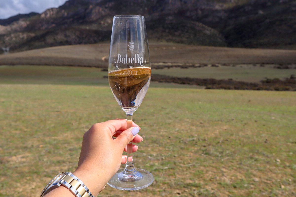 tulipandphoenix's tweet photo. Where do I even start gushing over Stettyn⁉️
Mesmerising views, amazing wines and a delicious winter cheese platter👌🏽 This is one place you do not want to miss when you’re in Worcester!
*hosted #ValleyOfFriends
#WorcesterWineandOliveRoute
#HelloWorcester #VisitWorcester_za https://t.co/jO3kKuSBt3