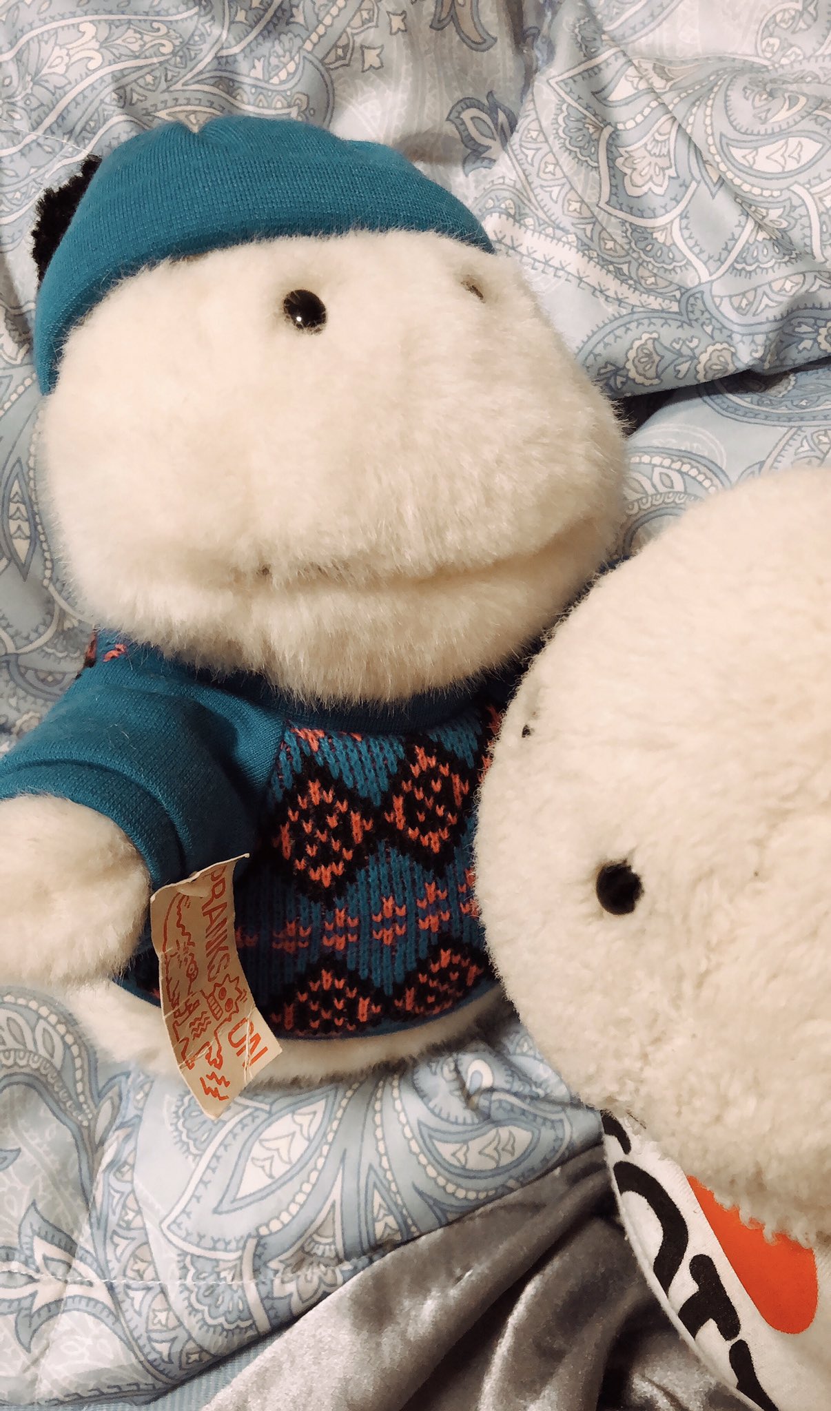 Fred (@Fred_terriot) / X Fred (@Fred_terriot) / X