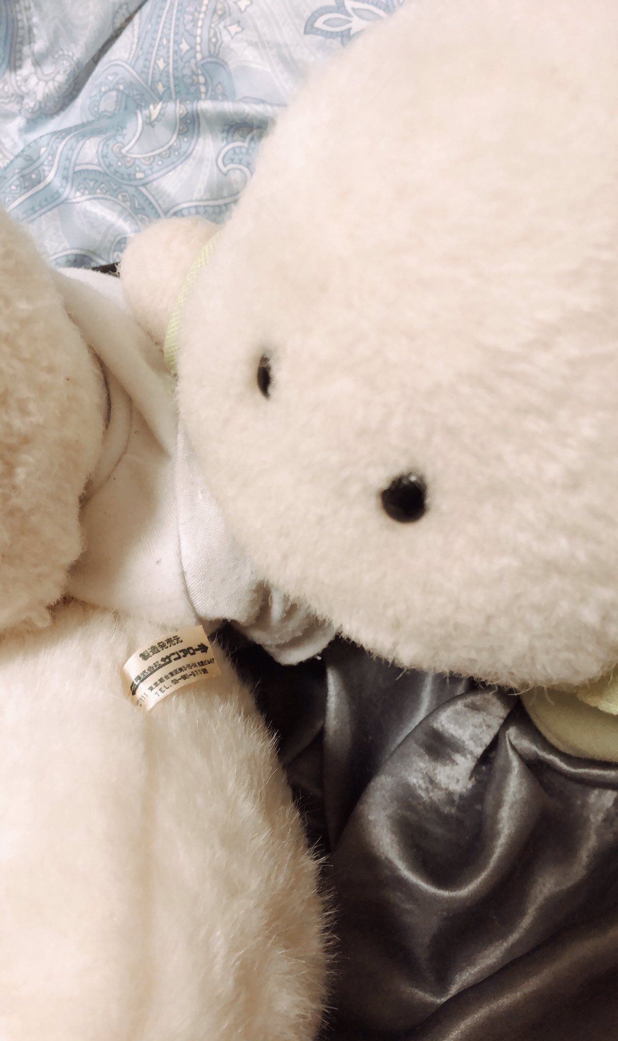 Fred (@Fred_terriot) / X