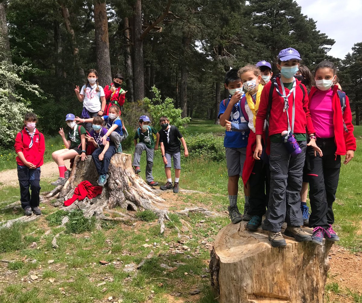 gsorionMadrid's tweet photo. Este finde la manada Seeonee se ha ido de marcha a Cercedilla. Hemos tenido experiencias de todo tipo. ¡Siempre haciendo lo mejor! ¡Mira nuestra caza en https://t.co/G9WTOw0ypK! https://t.co/UqcAiOBMvv #gsorion #scouts #scouting #manada #seeonee #lobatos https://t.co/SQnxWsnQuH