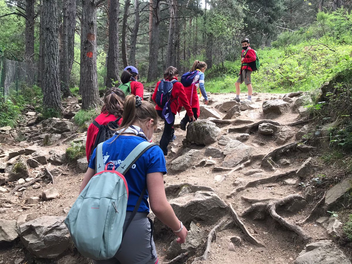 gsorionMadrid's tweet photo. Este finde la manada Seeonee se ha ido de marcha a Cercedilla. Hemos tenido experiencias de todo tipo. ¡Siempre haciendo lo mejor! ¡Mira nuestra caza en https://t.co/G9WTOw0ypK! https://t.co/UqcAiOBMvv #gsorion #scouts #scouting #manada #seeonee #lobatos https://t.co/SQnxWsnQuH