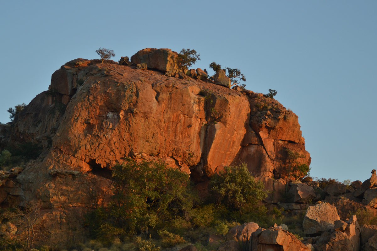 MasvingoTourism's tweet photo. #Mapungubwe Hill is a highly evocative landmark on the Limpopo Valley. Situated in the ancient Mapungubwe Kingdom. The Kingdom has significant links with the Kingdoms established at #GreatZimbabwe and #Khami Monunents https://t.co/b5D3LOfanp