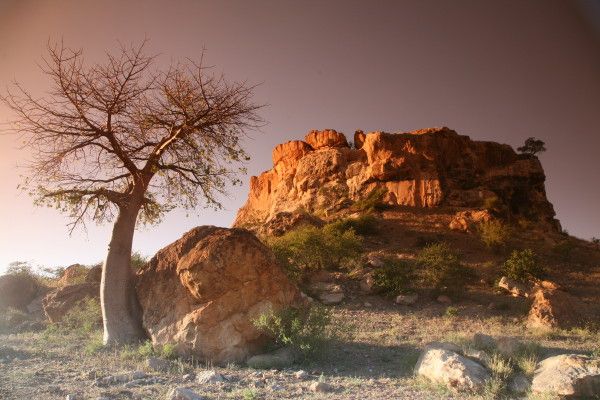 MasvingoTourism's tweet photo. #Mapungubwe Hill is a highly evocative landmark on the Limpopo Valley. Situated in the ancient Mapungubwe Kingdom. The Kingdom has significant links with the Kingdoms established at #GreatZimbabwe and #Khami Monunents https://t.co/b5D3LOfanp