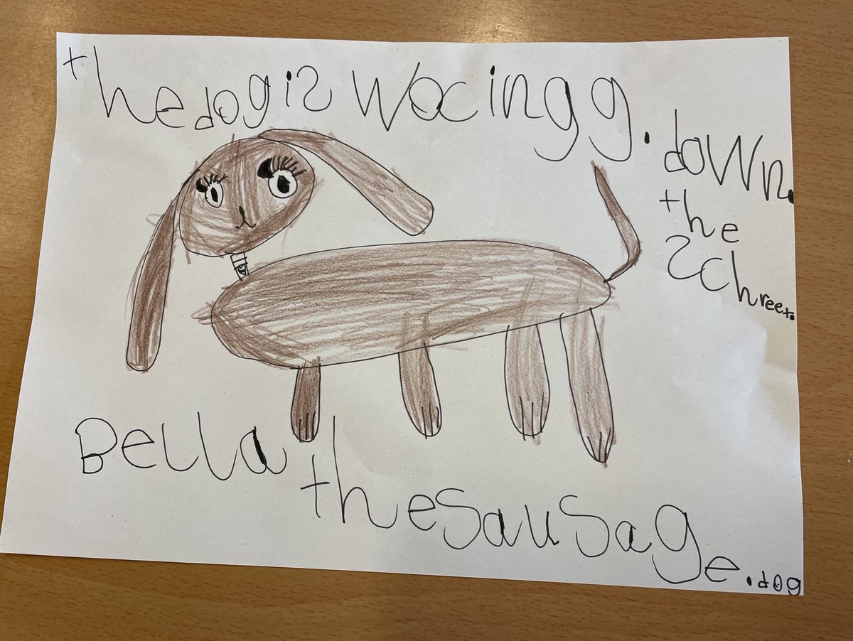 p12langlees's tweet photo. @YMIFalkirk we loved Pets!! Here are some of our pets! Looking forward to the next episode! 🐶🐱🐠 https://t.co/anzFGpKUUD