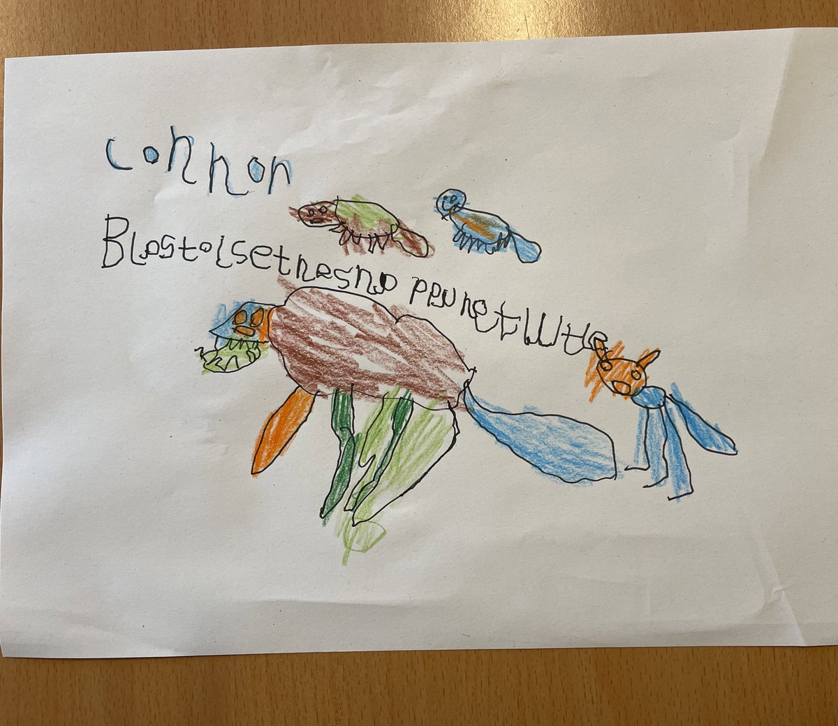 p12langlees's tweet photo. @YMIFalkirk we loved Pets!! Here are some of our pets! Looking forward to the next episode! 🐶🐱🐠 https://t.co/anzFGpKUUD