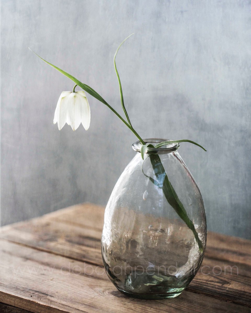 PendellDeborah's tweet photo. Deborah Pendell photography Floral fine art prints for sale in custom sizes and finishes
Click here https://t.co/ECAjwAKisw
#photography #customsizes #floralart #floralwallart #homeinteriors #artforthehome #artprints #wallart https://t.co/9M5faTRiGO