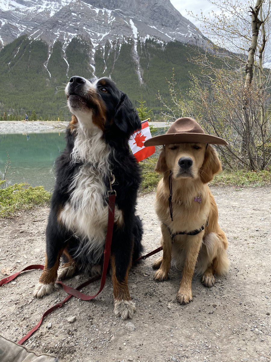 Bunsen, Beaker, Bernoulli & Brix tweet media