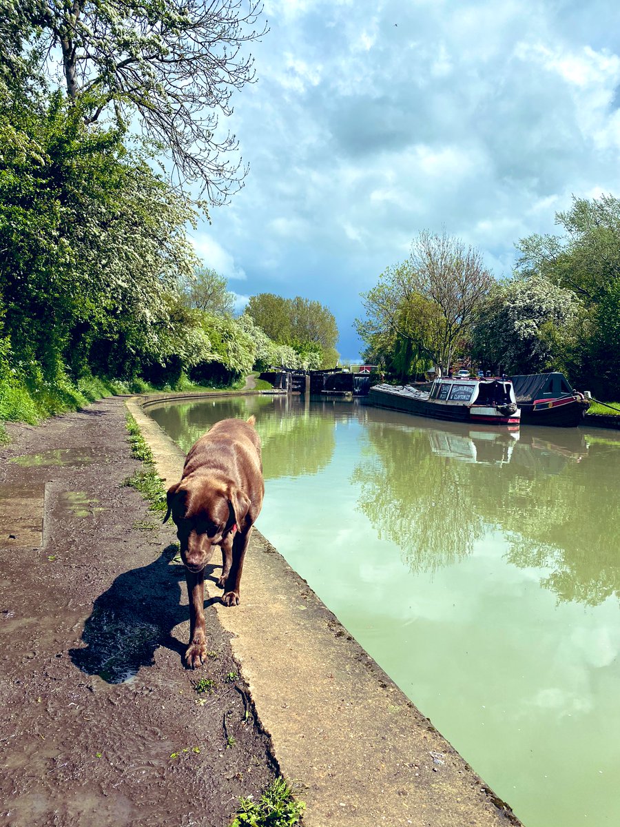 Quick rain dodging lunch break ⛈