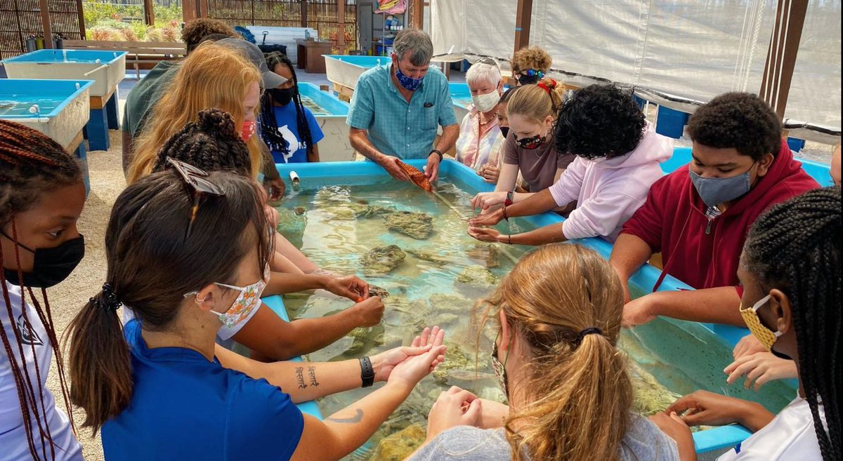 IDB Sustainable Islands Platform (SIsP) tweet media