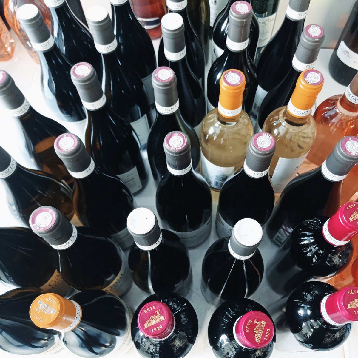 FORTANT_EN's tweet photo. Classic tasting day ! 
#fortant #maisonfortant #fortantdefrance #tastingday #vin #wine #winetasting #winery #winemaker #languedocwine #tastepaysdoc #paysdocigp https://t.co/QaHjPNYdVD