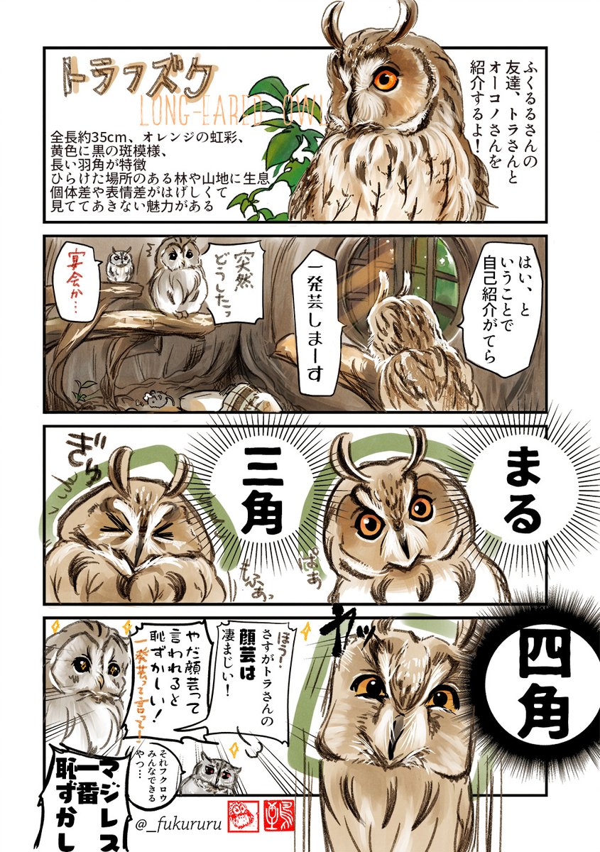 トラフズクお絵かき強化週間🦉

表情豊か… 