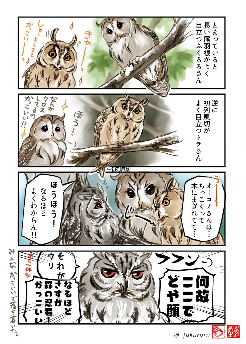 トラフズクお絵かき強化週間🦉

表情豊か… 