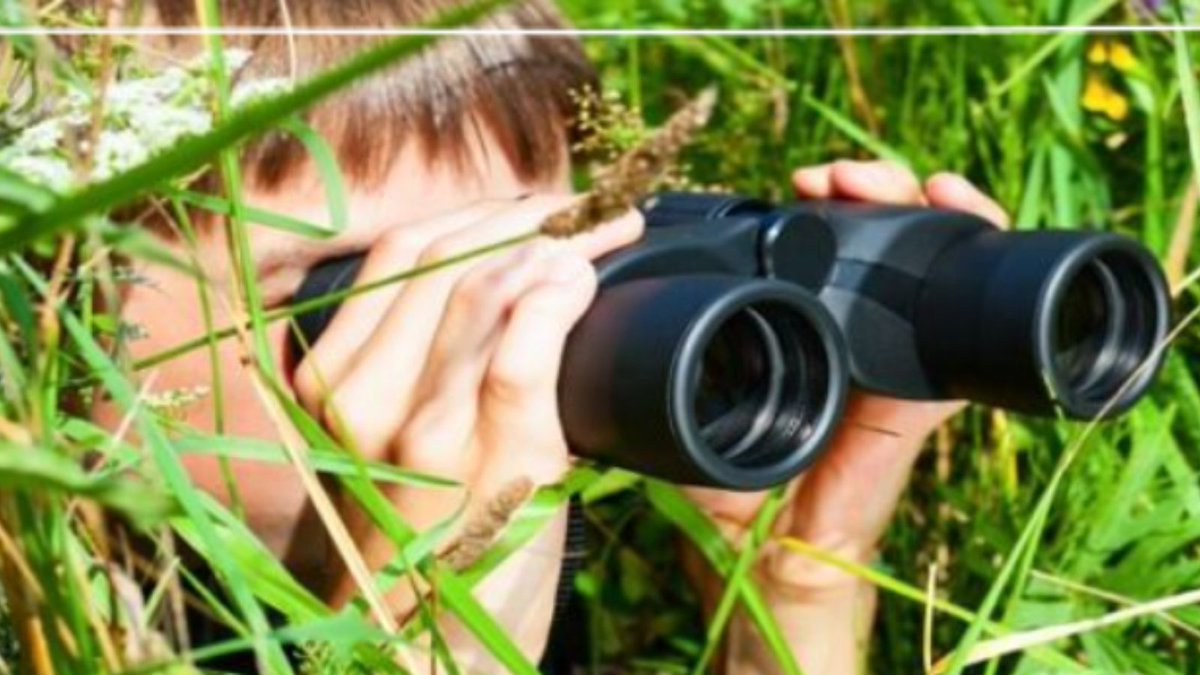 ⭐️ Competition⭐️Under 21s can enter @scotbiosphere young nature blogger contest! Write about your favourite local wildlife or outdoor space and illustrate with photos and drawings for the chance to have your article published and win a wildlife goody-bag! gsabiosphere.org.uk/young-nature-b…