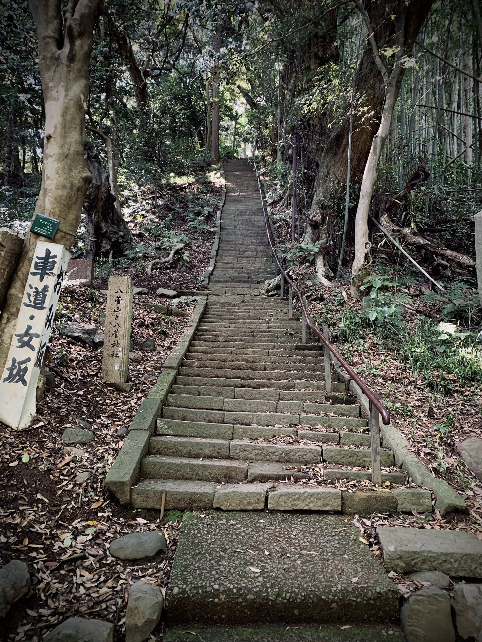 ちぇちりあ きちがいじゃが仕方がない と言いたいためだけに階段を登る 千光寺ロケ地は岡山なのでココではないのに 写真で見るより急だし 段狭いし ムカデはいるし けっこう危険 金田一耕助 ここを下駄で駆け上がってなかったっけ T