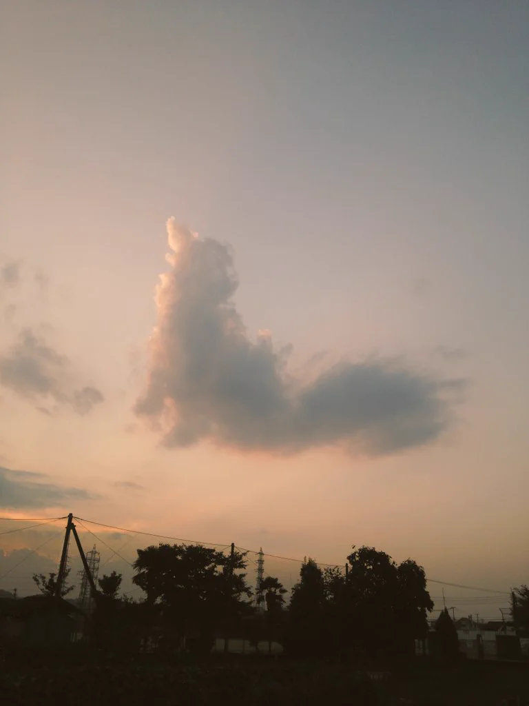 あなたはどっちに見える？犬にも猫にも見える不思議な雲の写真が話題に！