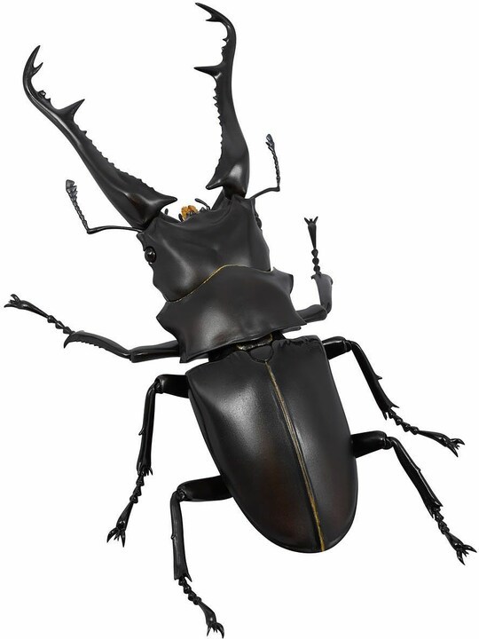 hobbylink's tweet photo. Kaiyodo adds the giraffe stag beetle, the largest species of stag beetle, to their #Revogeo action figure lineup! You can reproduce various expressions from aggressive postures to licking at its favorite food -- delicious tree sap!
🪲 PREORDER NOW 🪲
https://t.co/OqoRE8PBGh https://t.co/KOCBMIdUYf
