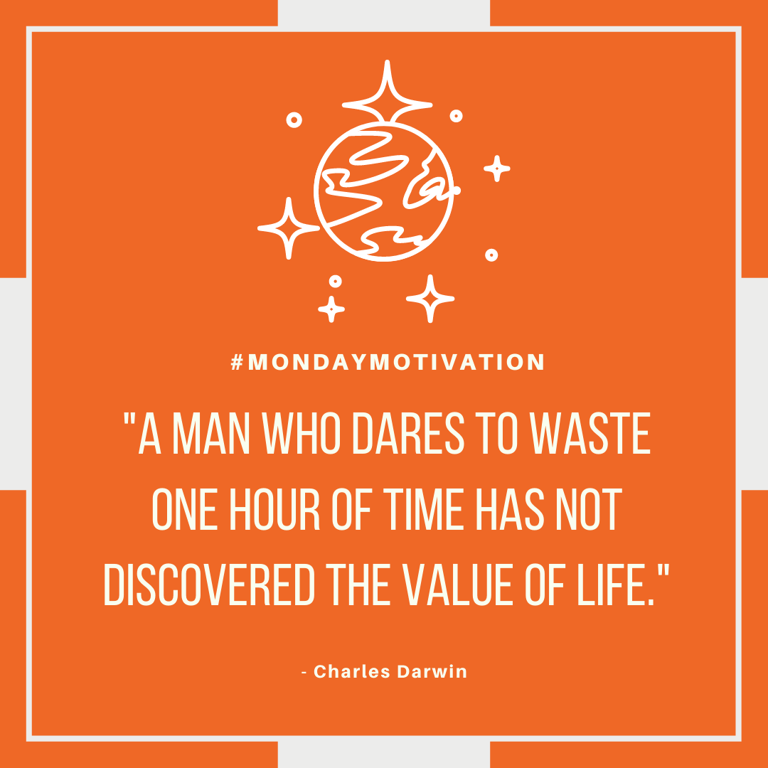 Alpha Hosting tweet media