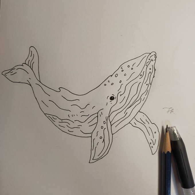 Twoucan シロナガスクジラ の注目ツイート イラスト マンガ