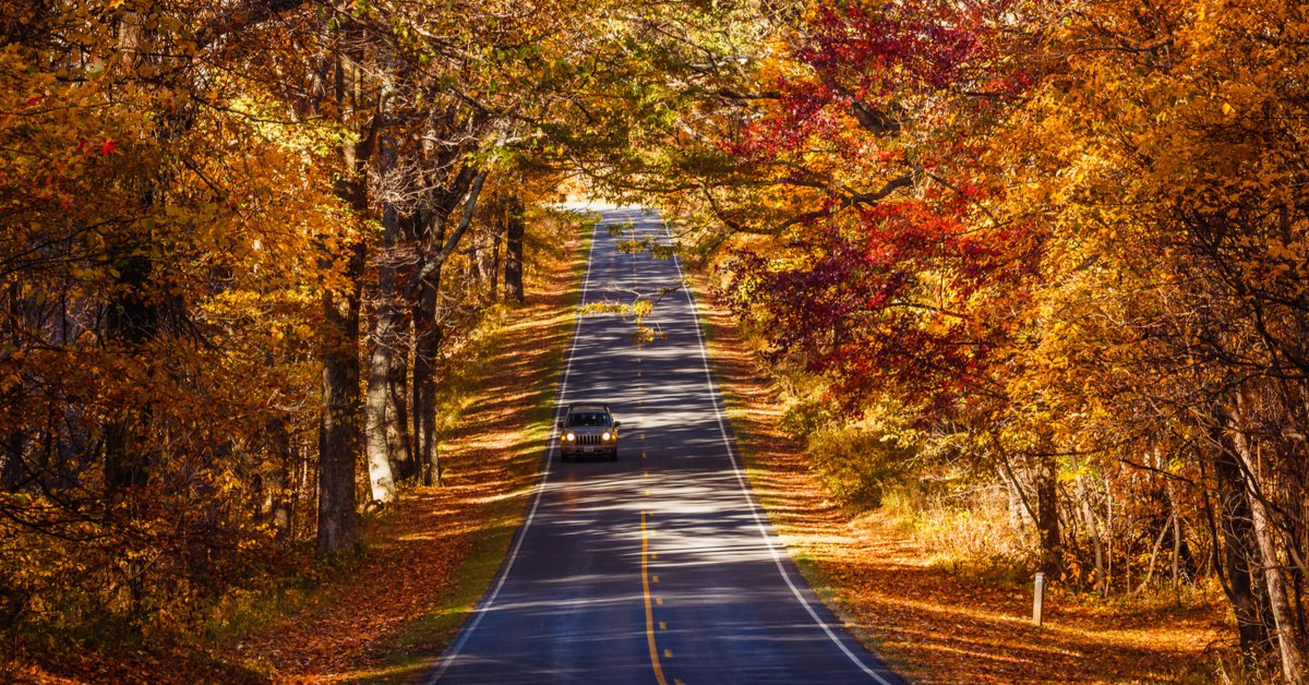 LurayPageCoC's tweet photo. If you’re living in Washington D.C. and want to escape the city for a day, check out Travel Awaits Blog on “7 Best Day Trips from Washington D.C.” (https://t.co/npHxWpa8wS), which features the Shenandoah National Park. https://t.co/CxpkHAVKJt