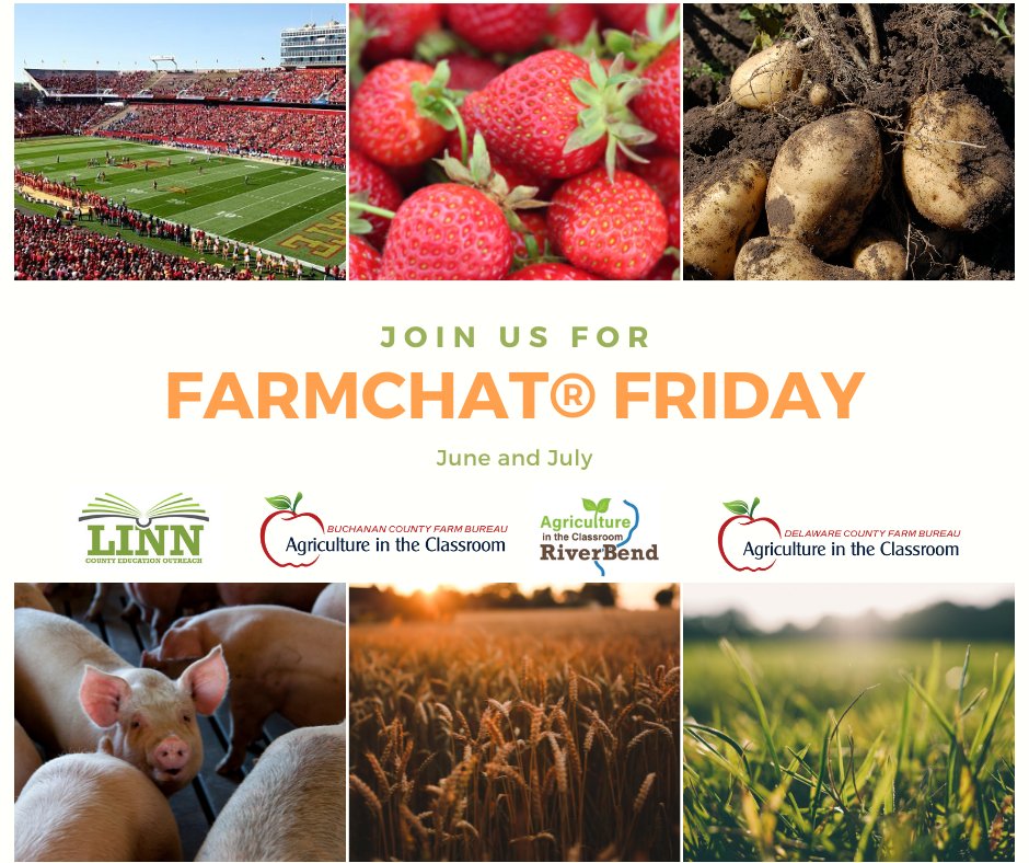 LinnCoAg's tweet photo. FARMCHAT FRIDAYS ARE BACK! We will be touring local farms and ag businesses. Follow along this summer as we share the story of Iowa Ag! 
🍓🌾🐷🥔🍦
River Bend Ag In The Classroom, Delaware County Farm Bureau, Linn County Education Outreach and Buchanan County Farm Bureau https://t.co/XgUGGL9JcA
