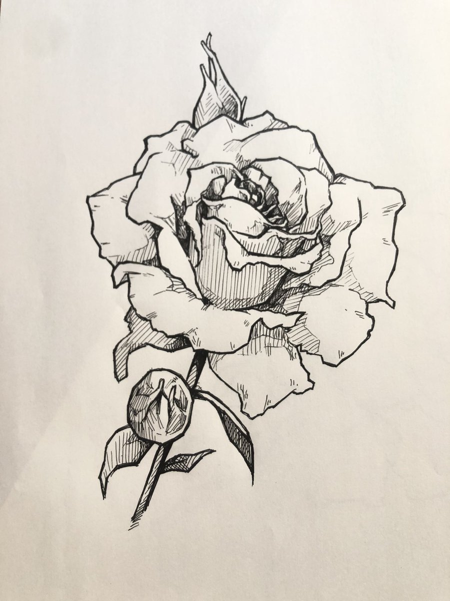 3like على تويتر 今日は花 イラスト 花のイラスト 花 ボールペン画 3like على تويتر 今日は花 イラスト 花のイラスト 花 ボールペン画