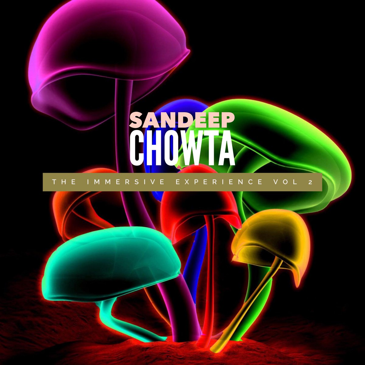 Namma Music | nammamusic.lens (@nammamusic) on Twitter photo #SandeepChowta has collaborated with 9 wonderful #musicians - <a href="/Varijashree/">Varijashree</a>, Diego Hedez, Hector Guerrero Moreno, Seb Read, King Robinson Jr. , <a href="/CarnaticAbhay/">Abhay Nayampally</a>, Yoed Nir, Jonathan Huber & John Connearn on his upcoming release #TheImmersiveExperience Vol. 2
bit.ly/3yzHhkp #SandeepChowta has collaborated with 9 wonderful #musicians - <a href="/Varijashree/">Varijashree</a>, Diego Hedez, Hector Guerrero Moreno, Seb Read, King Robinson Jr. , <a href="/CarnaticAbhay/">Abhay Nayampally</a>, Yoed Nir, Jonathan Huber & John Connearn on his upcoming release #TheImmersiveExperience Vol. 2
bit.ly/3yzHhkp