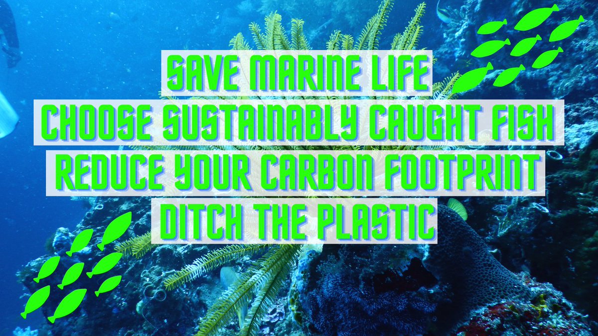 Did you know that ocean acidification linked to increased levels of CO2 &amp; overfishing are even greater threats to marine life than plastic pollution! 😲So, as well as cutting down on plastic you can save our sea-life by choosing sustainably caught fish and saving energy! 🐟🦐🦦🌊