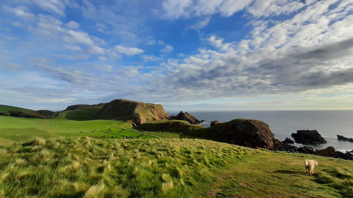 ScotChildmind's tweet photo. Here are some fantastic photos from Raquel Lloyd-Jones, our CDO for the Scottish Borders, who was promoting childminding while on a recent walk in the beautiful countryside with her dog ‘Sandy Scout’.
#WhereDoYouWearYours #TeamSCMA
#CheerforChildminding #ChangingTheNarrative https://t.co/AoTzWpXqbv