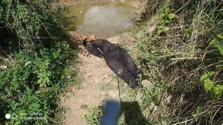 A MAN WAS KILLED BY TERRORIST SAC. A dead-body of a man with his hands tied behind his back was discovered near Noko and Yelp road in Loukas. #HelpKayah #May24Coup #WhatsHappeningInMyanmar