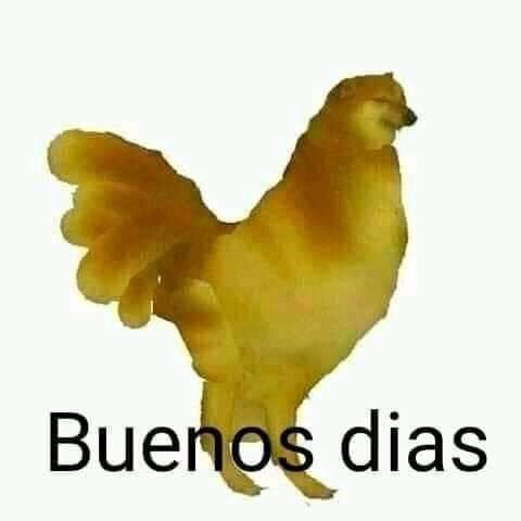 GermanGarmendia's tweet photo. https://t.co/b5NhZAygn8