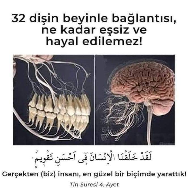 bildirimvarcom's tweet photo. https://t.co/XCVUJnDUCI