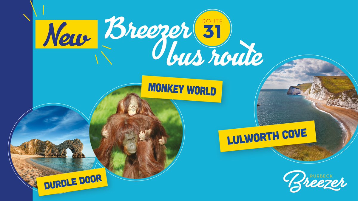 Introducing a NEW route for 2021! Route 31 is a new service linking Wool Rail Station to Durdle Door and Lulworth Cove. Some journeys are extended to Monkey World, Bovington Tank Museum, and Wareham. To see our timetables, visit the morebus website 👉 bit.ly/3bP2c9n