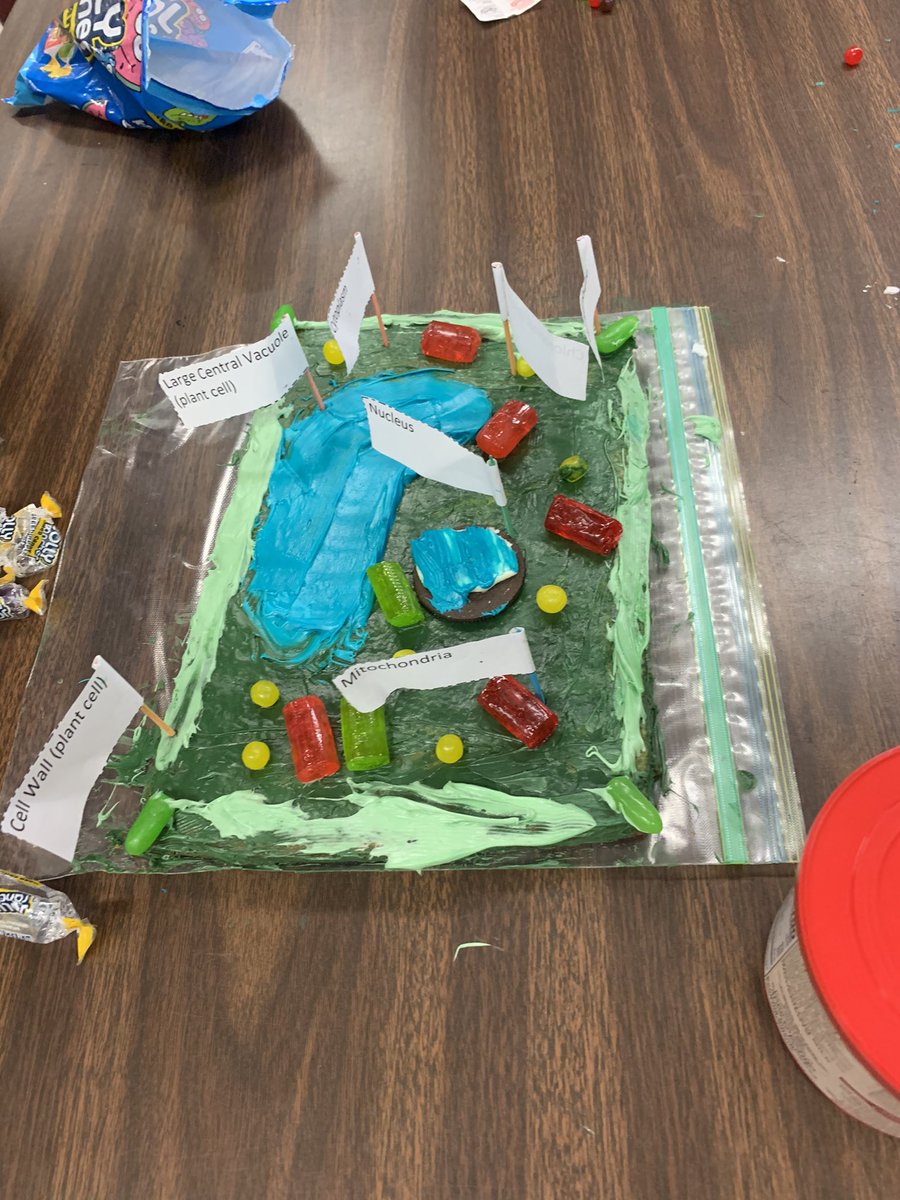 MrsSerena1's tweet photo. My @IMS_Indians advanced students reviewed cells and completed an edible cell project! https://t.co/w5woFgEfRc
