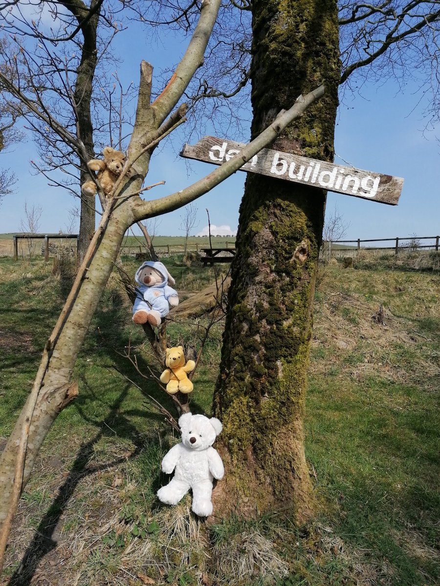 peerscloughfarm's tweet image. Just a few spaces left on our Teddy Bears Picnic! Head on over to our FB page for more details 🧸🤎
#halftermfun #letsgetoutside #lovetheoutdoors #teddies #familyfun #woodland #rossendale