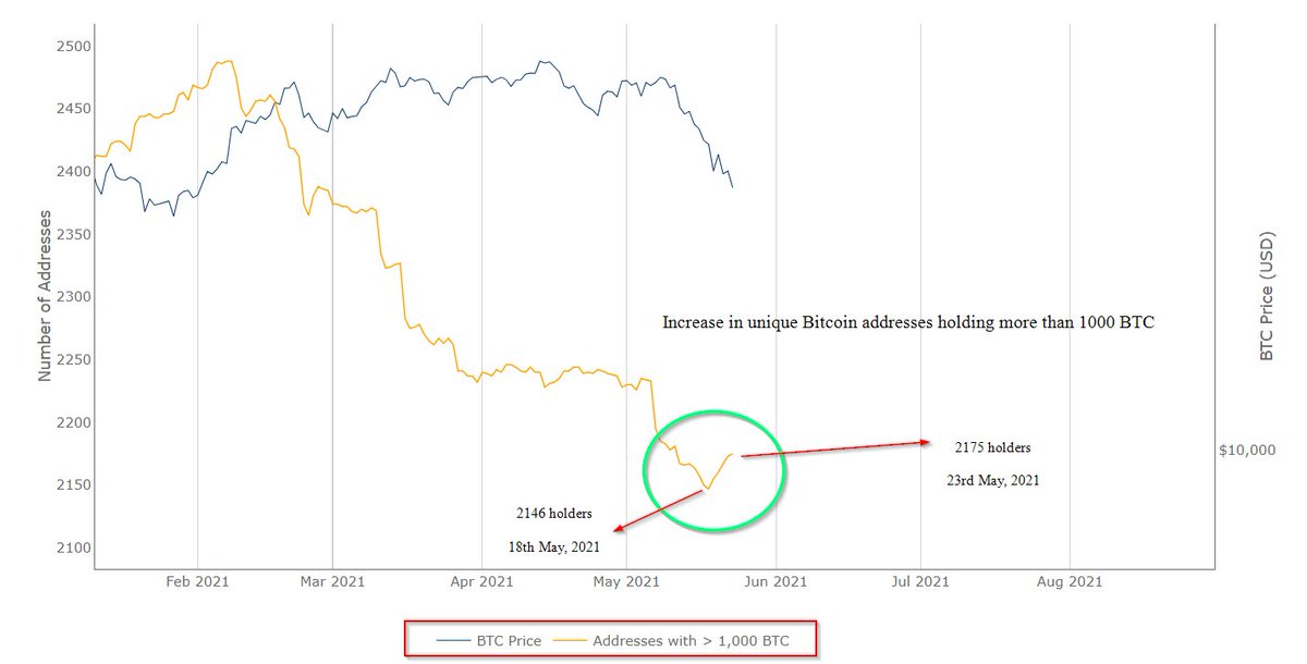 Keep selling while whales accumulate.