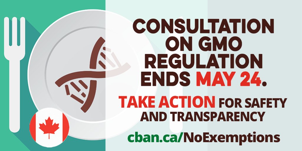 biotechaction's tweet image. May 24 is the last day to have your voice heard in consultation to exempt some genetically engineered foods #GMOs from regulation. Take action @ cban.ca/NoExemptions