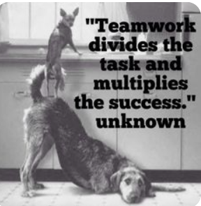 #cooperation #ExpectRespect