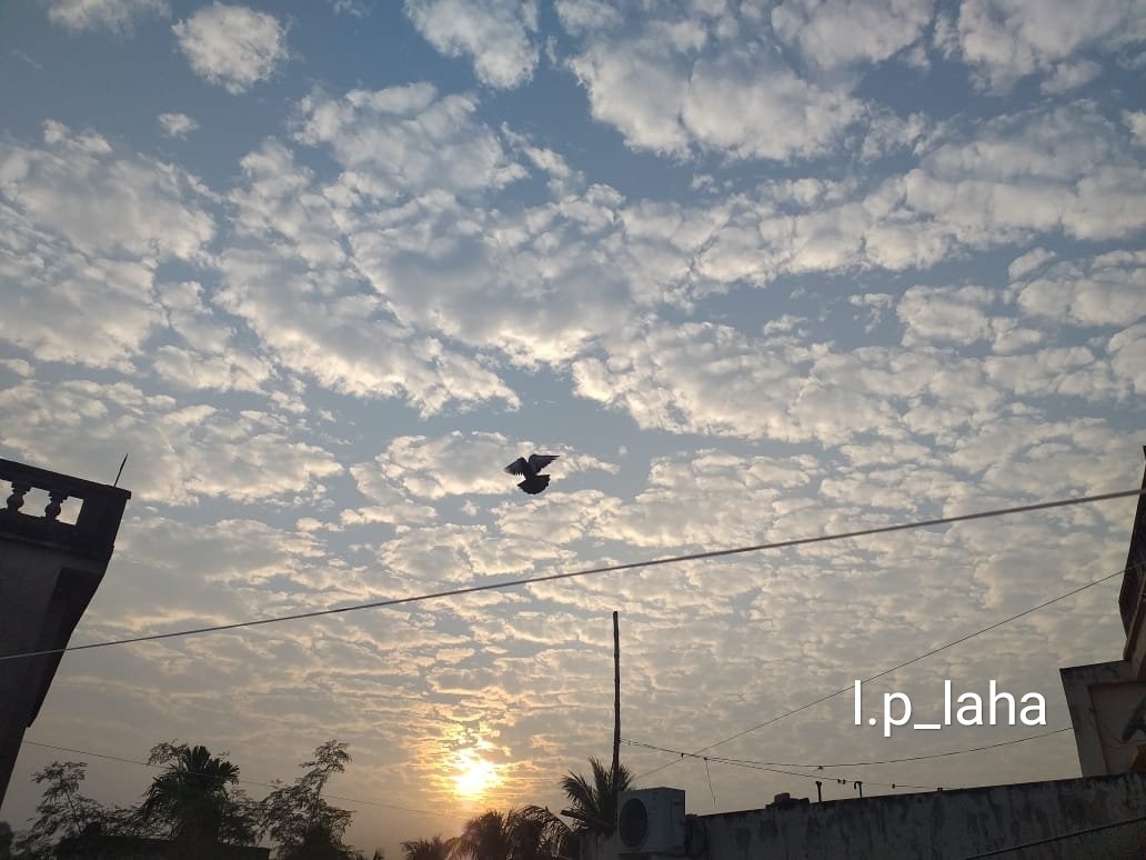 LahaLaxmi's tweet image. Fly High 💓....
#suddenclick 📸
#Feelyourinneruniverse 🔍
#AlwaysBeyondtheimagination 💥
#lookongreatergood 🕶️