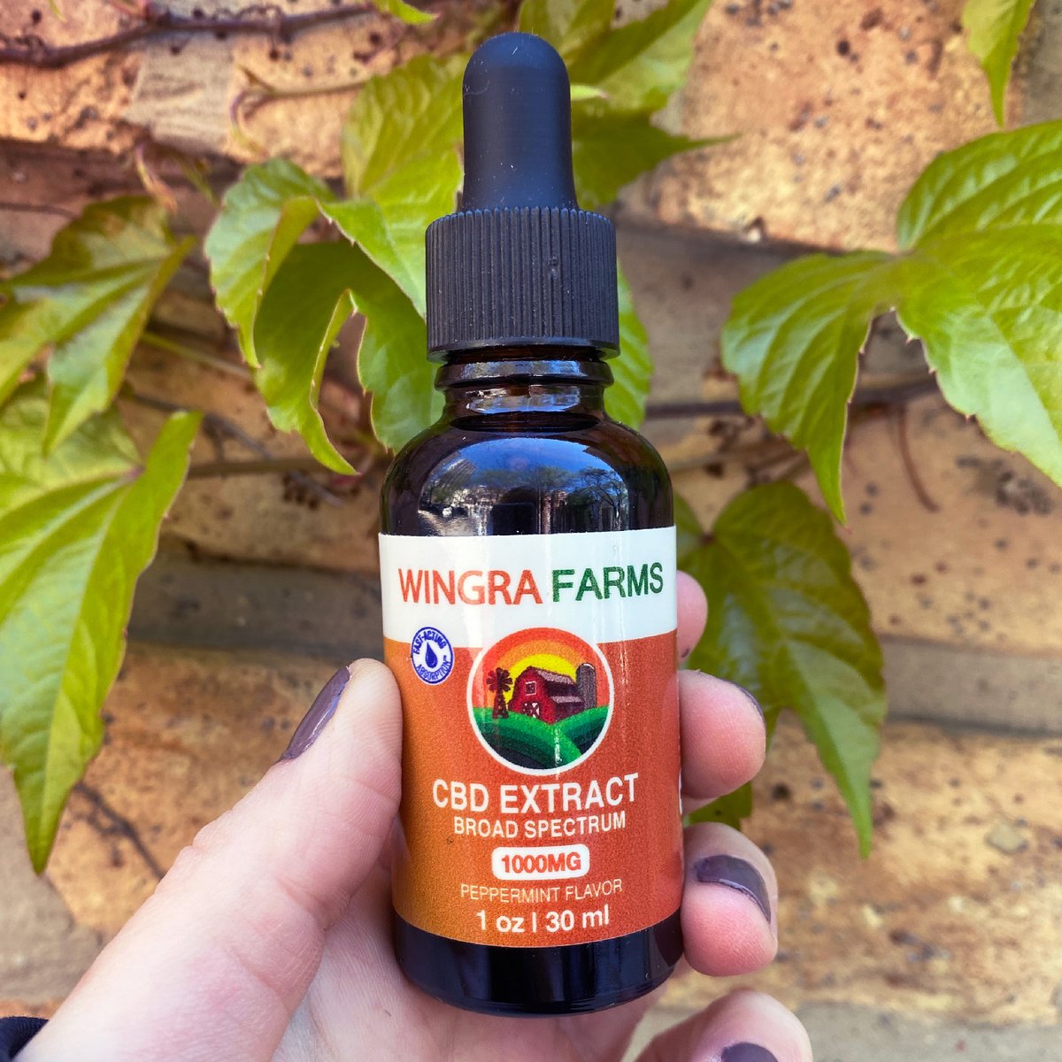 🍃  Wingra Farms tinctures fit in the palm of your hand: portable and easy to take anywhere! #WingraFarms #CBD #healthandwellness #WorkWithWingra