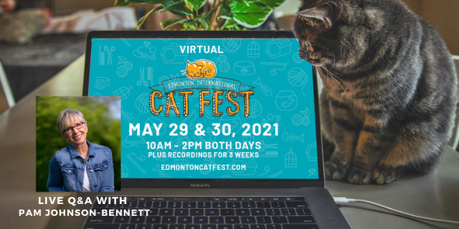 ThinkLikeaCat's tweet photo. I'll be doing a live Q&amp;A at the Edmonton Cat Fest.This year the festival is an ALL WEEKEND affair! Join us ONLINE  May 29 and May 30 from 10am-2pm to celebrate cats while raising money for cat rescues! https://t.co/wuIIZxqbOj #thinklikeacat #catfest #virtualcat #catexpert https://t.co/ROCFyss30T