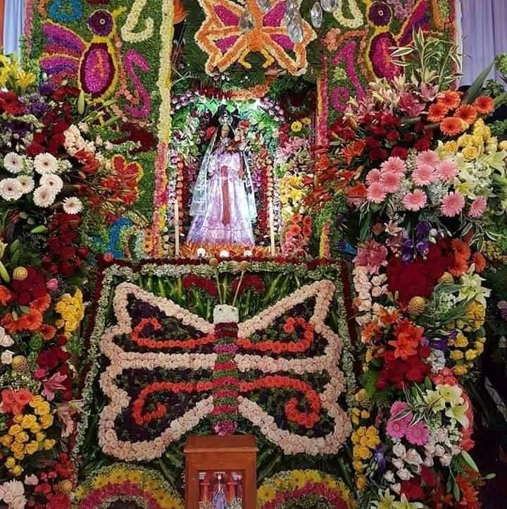 Cotopayú Cultural on Twitter: Cotopayú Cultural on Twitter: