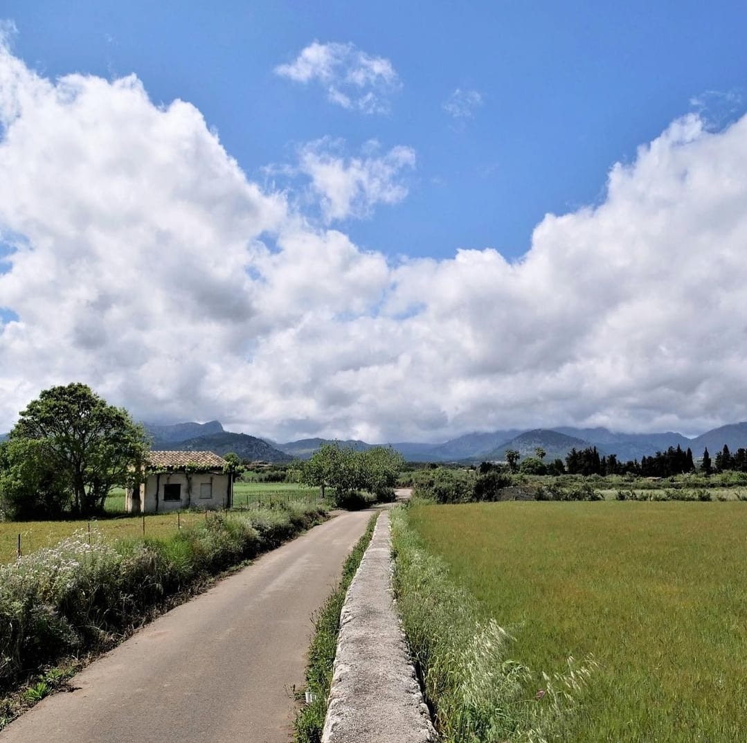 visitpollensa's tweet photo. 📍 En Pollença encontrarás numerosas rutas y caminos por los que pasear y descubrir los maravillosos paisajes 😍. ¿Te apetece un paseo? ✨🌷

📸 @mallorca_rosy

#pollença #rutas #caminos #pasear #visitpollensa #nextholiday #mallorca #islandlife #placewow #myfavouriteplace https://t.co/3jEGm5vhyt