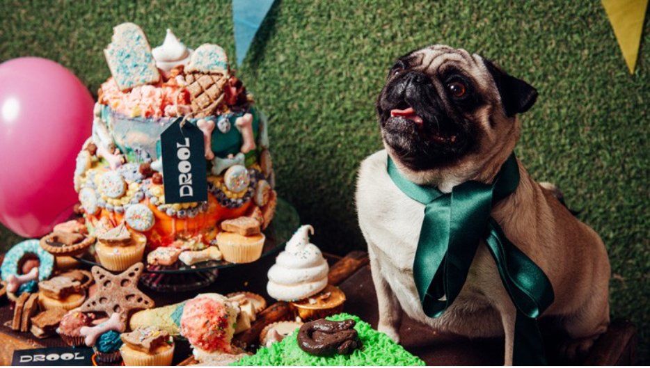 DROOL 
<a href="/Miss_Cakehead/">CAKEDEAD</a> 

bighospitality.co.uk/Article/2021/0…
