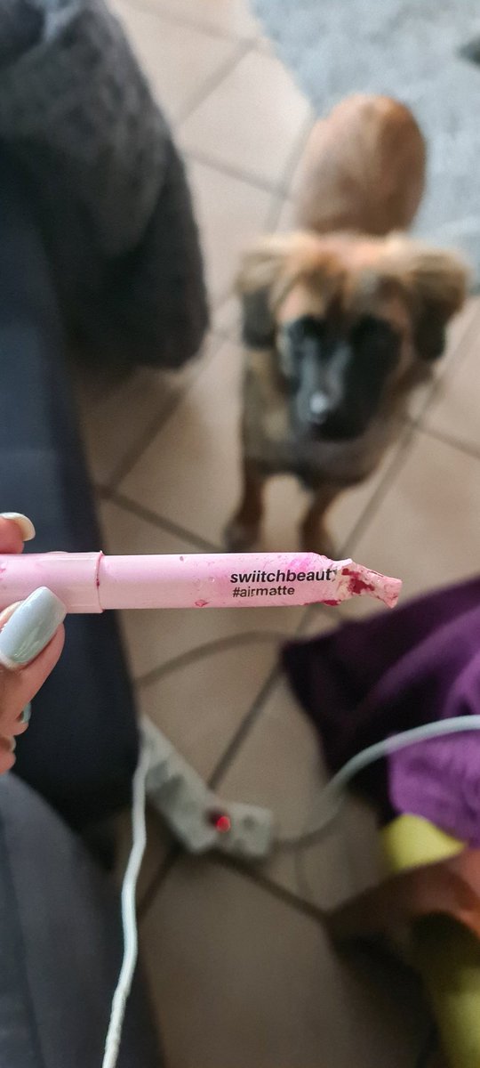 PearlPillay's tweet photo. If anyone would like a dog, I'm selling this one.
Proceeds will go to @swiitchbeauty since they apparently make tasty lipstick. 😭 https://t.co/Zvts5yeo0n