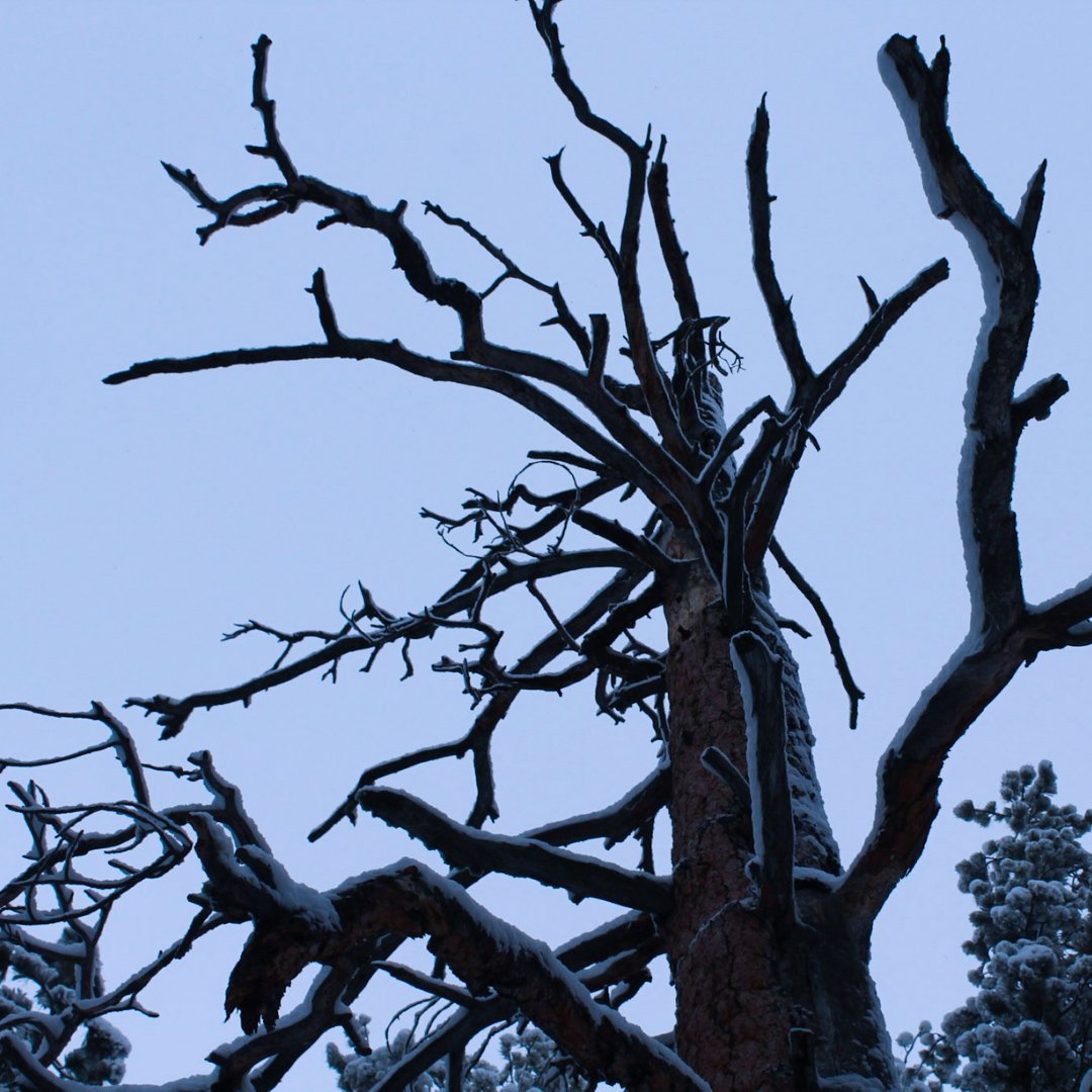 'What It Means to Forgive' was released over one year ago. 

Thank you for over 22K views on YouTube for our newest music video for 'Faint'.