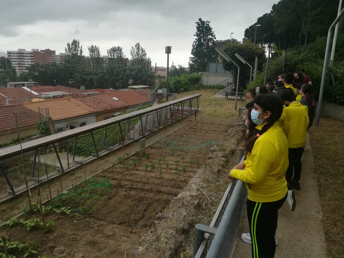 desosong_'s tweet photo. L’alumnat de l’escola #VíctorCatalà visita la coop #Userda9 i l’espai #Ecovincles a #NouBarris. A més, ha  conegut dos horts ben diferents. Els de la Maladeta, on tot el que s’obté es destina als bancs d’aliments, i els de Can Peguera, gestionats per la gent gran #Menjadrets🍒 https://t.co/k0gJyNwniV