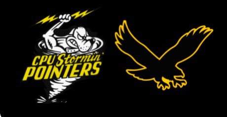 ⚾️⚡️Opening Day is finally here!! Level 2 and Varsity travel to Waverly to take on W-SR! Level 2 first pitch is 5 pm and Varsity will follow!  Can’t make the trip, click the link below to listen to the live Stormcast! ⚾️⚡️ youtube.com/c/CPUActivitie…