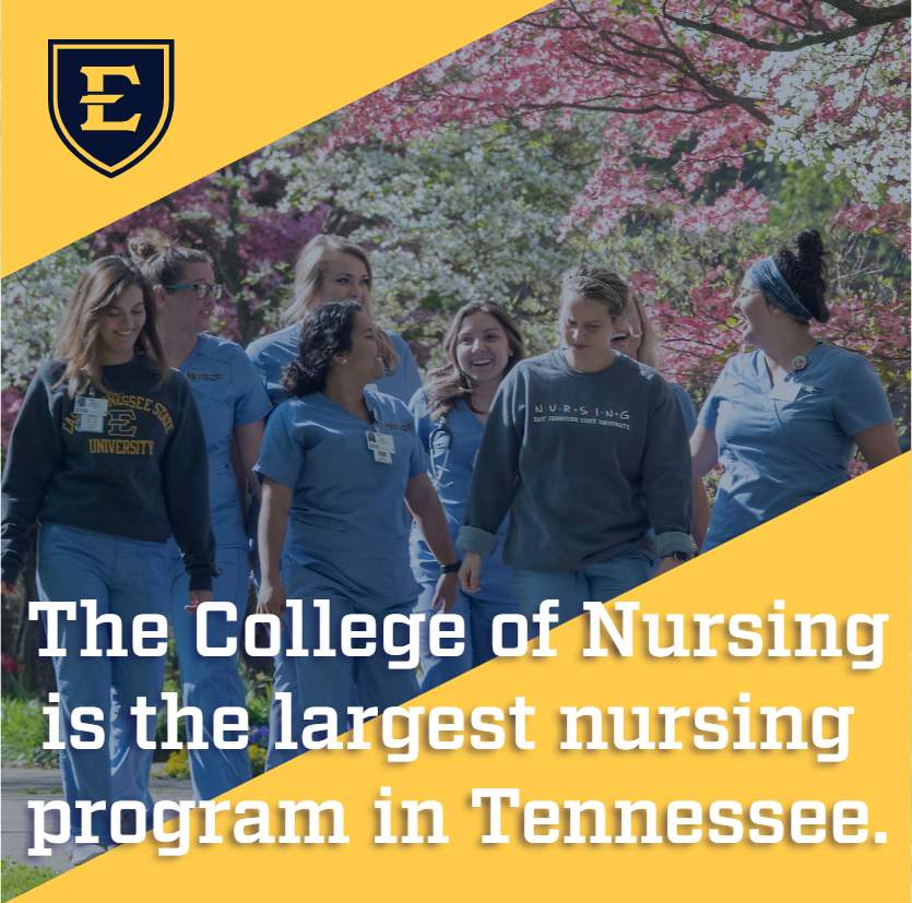 ETSU's College of Nursing is the largest nursing program in Tennessee! It manages 7 clinics that serve the region. 

#nursing #ETSUHealth #healthcareers #etsu