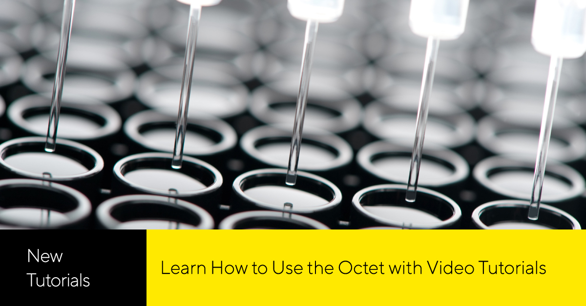 SartoriusGlobal's tweet photo. Octet assays are extremely popular for #titer, #ImpurityTesting, #LeadSelection and #TargetID and validation. Learn more about usage of the Octet with our tutorial video playlist available on YouTube.
Watch the tutorials now: https://t.co/efD5FeqvrX https://t.co/nQzTlXzABS